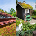 A Comprehensive Look at Vegetative Roofs: Types, Benefits, and Maintenance